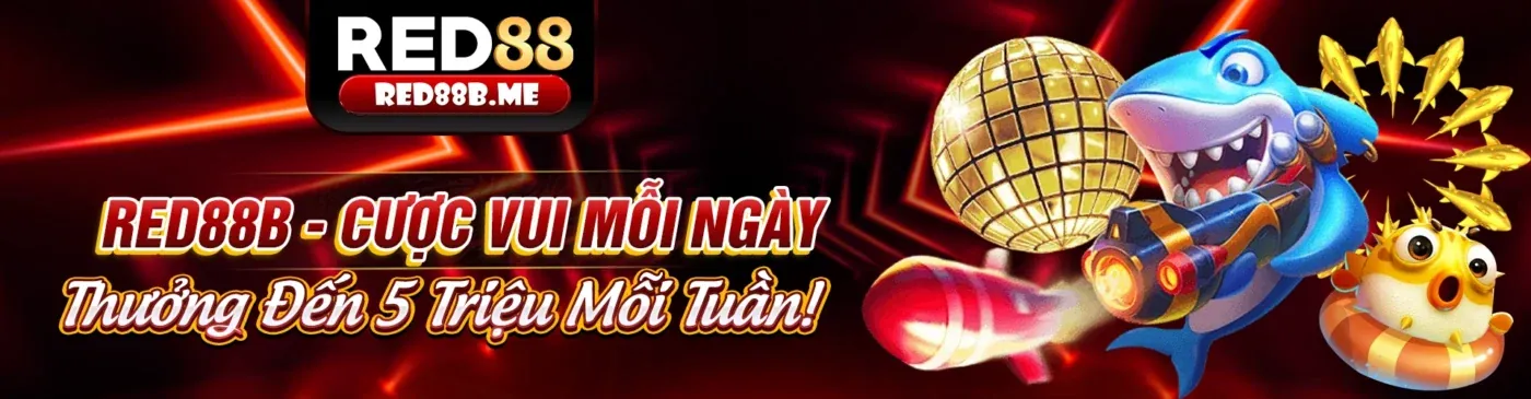 Khuyến mãi 8k6698p 2026 với ưu đãi cá cược trực tuyến