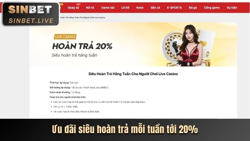 Live Casino 8k6698p
