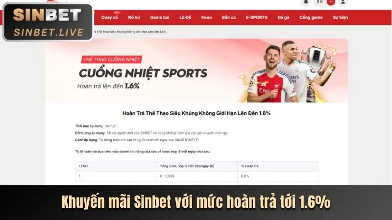 Đánh giá chuyên sâu nền tảng 8k6698p